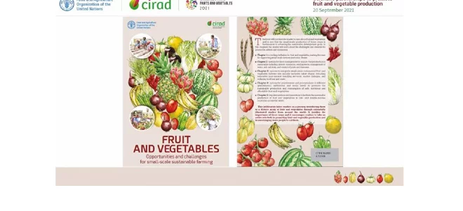 ​FAO/Cirad : Un ouvrage sur la production de fruit