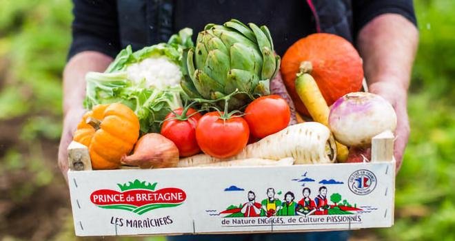 Le lieu de vente va regrouper l’ensemble de la gamme de fruits et légumes Prince de Bretagne typiques des maraîchers du Trégor-Goëlo. Photo : Prince de Bretagne