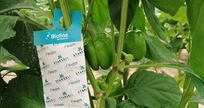 Le nouveau produit Starskii® de chez Bioline Agrosciences. Photo Bioline Agrosciences