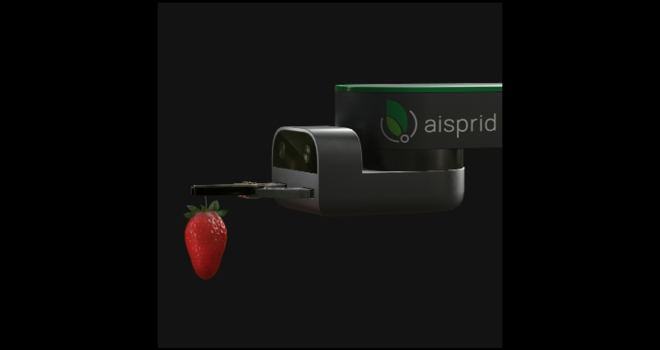 La société Aisprid (35) conçoit et fabrique des robots autonomes à destination des producteurs de fruits fragiles sous serres, comme les fraises ou les tomates. Photo : Aisprid 
