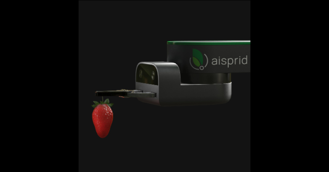 La société Aisprid (35) conçoit et fabrique des robots autonomes à destination des producteurs de fruits fragiles sous serres, comme les fraises ou les tomates. Photo : Aisprid 