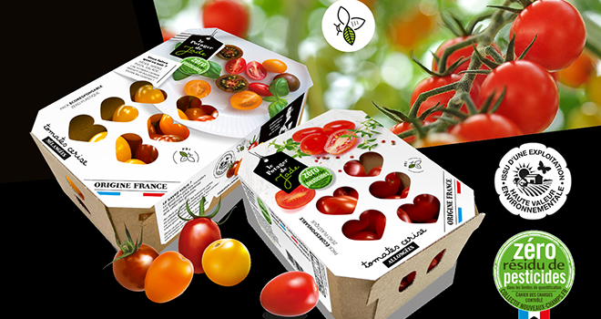 Depuis janvier 2020, Ydeal – Le potager de Jade a choisi de bannir les barquettes en plastique de ses tomates. Photo : Ydeal