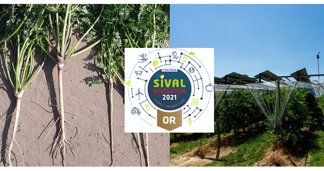 Jeudi dernier, le jury final du Concours Sival Innovation a délibéré et sélectionné 16 innovations lauréates et 12 nominées. Photos Sival 