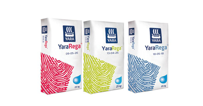 Conçu spécifiquement pour fonctionner dans tous les systèmes d'irrigation, YaraRega™ est le pre-mier NPK sous forme de granulé et entièrement soluble dans l’eau au monde, selon Yara. Photo : DR