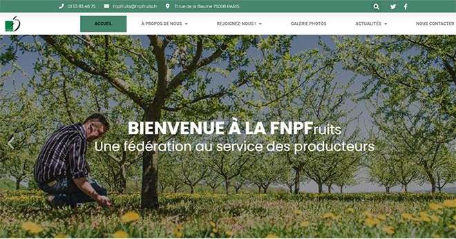 La FNPFruits met en valeur la production fruitière française à travers son nouveau site Web. Photo : FNPFruits  