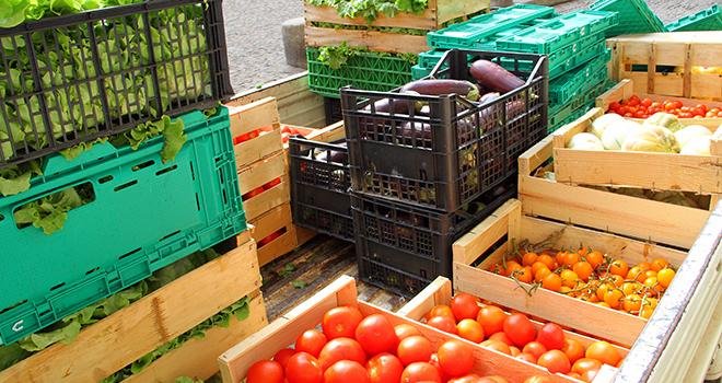 Depuis le 1er septembre, ce sont déjà 176 tonnes de produits agricoles qui ont été données dans toute la France, soit l’équivalent de 352 000 repas distribués. illustrez-vous/Adobe stock