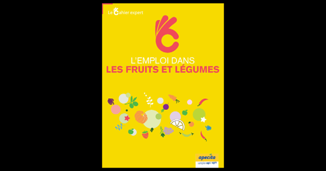 Le secteur des fruits et légumes offre une importante diversité de métiers accessibles à tous les niveaux de formation, voire à des personnes sans qualification ayant un profil autodidacte. Photo : Apecita