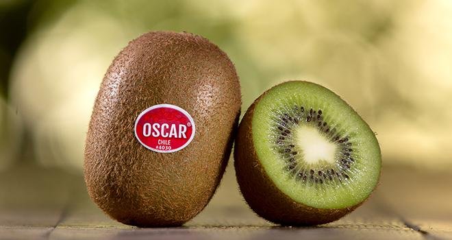 Les kiwis chiliens de la société Primland sont commercialisés sous la marque Oscar. Photo : Primland