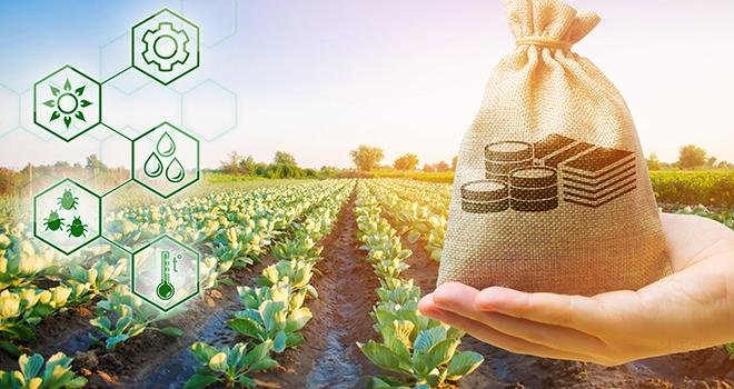 À travers le label AgriO, son consortium soutient l’innovation des start-up agri/agro. Photo : Андрей Яланский/Adobe stock