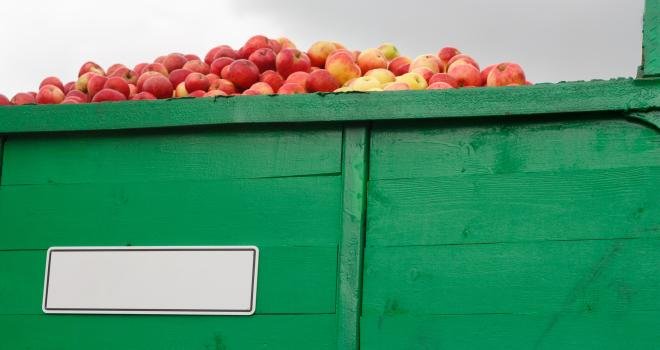 En dix ans, les importations de fruits ont augmenté de 67 %, et celles de légumes de 50 %, selon Christiane Lambert. CP : JoyNik/Adobe Stock