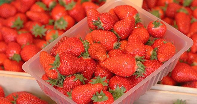 La fraise, déjà classée en "prix anormalement bas", sera bientôt déclarée en crise conjoncturelle. Photo : iMAGINE/Adobe stock