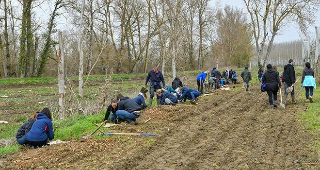 Les plantations ont été réalisées sous forme de chantiers collaboratifs, avec l’aide de salariés de Blue Whale et des bénévoles des associations « Campagnes Vivantes », WWF et « Nature en Occitanie ». Photo : Didier Taillefer