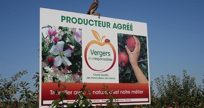 1 323 pomiculteurs ont obtenu l’agrément Vergers écoresponsables pour la campagne de commercialisation 2019-2020. Photo : ANPP