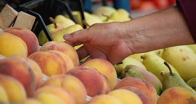 La Commission européenne vient de publier son rapport sur les perspectives agricoles pour 2019-2030, notamment pour la production de pommes, de pêches et de nectarines. Photo : Adobe Stock Nellas