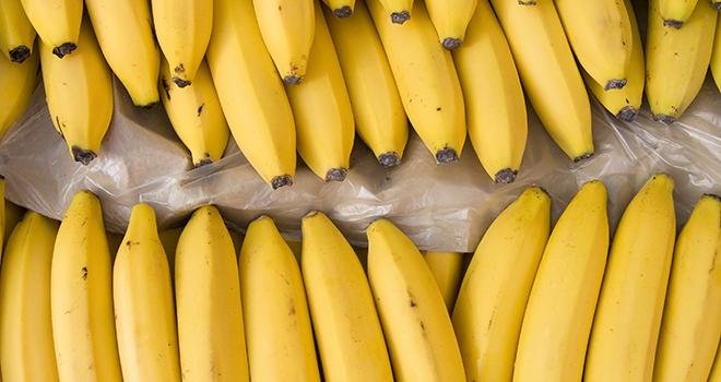 La concurrence des pays tiers qui produisent des bananes à bas coût a fait chuter le cours des bananes en-deçà du coût de production des producteurs européens. Photo : romvo/Adobe Stock