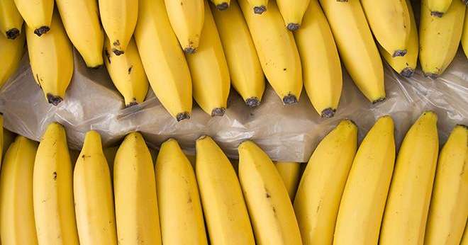 La concurrence des pays tiers qui produisent des bananes à bas coût a fait chuter le cours des bananes en-deçà du coût de production des producteurs européens. Photo : romvo/Adobe Stock