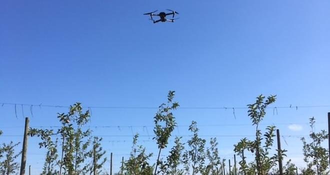 Les règles de la pulvérisation par drone ont été précisées dans un arrêté publié au JO le 8 octobre 2019. Photo : B.Bosi/Media&Agriculture