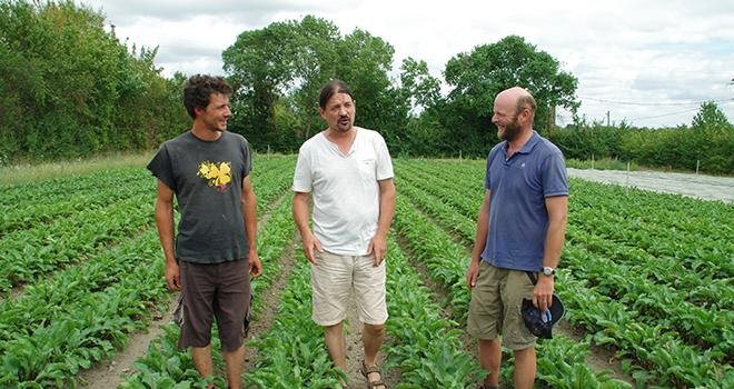 Baptiste Grilleau, Philippe Jaunet et Loïc de Barmon, trois agriculteurs bio, alertent sur la sécheresse qui sévit en Maine-et-Loire. Photo : M.D.G/Pixel6TM
