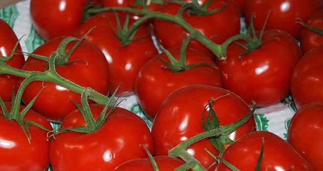 Une baisse des volumes de tomates est attendue pour juillet d'après Agreste. Photo : O.Lévêque/Pixel6TM