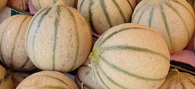 La technologie SmartFresh autorisée sur melons