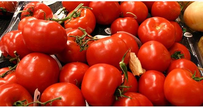 Les importations massives de tomates poussent les producteurs français à écarter une partie de leur production, selon Légumes de France. Photo : Neelrad/Adobe Stock