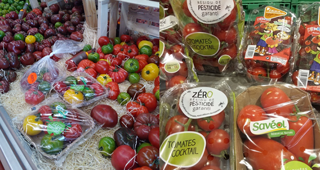 Une étude intitulée « Démarche « sans ou zéro » entre le bio et le conventionnel : perception et attentes des consommateurs de tomates » a été réalisée par le CTIFL. Photo : C.Baros
