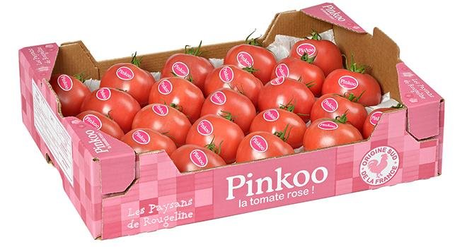 Pinkoo, la tomate ronde rose de Rougeline sera commercialisée cette année. Photo : Les Paysans de Rougeline