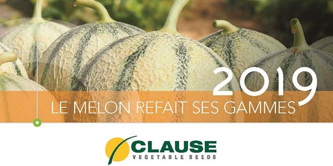 Dans son catalogue 2019, Clause propose 3 nouvelles variétés de melon, adaptées aux besoins actuels des producteurs. Photo : HM. Clause