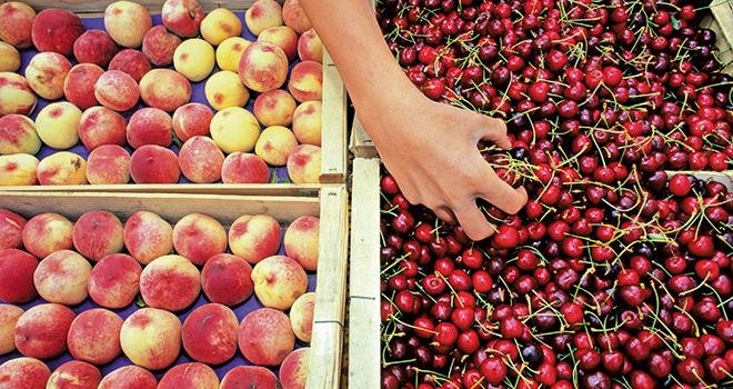 En 2018, les chiffres d’affaires à la production des fruits d’été connaissent une évolution contrastée, dans un contexte de baisse des récoltes et de remontée des cours. Photo : Fotolia