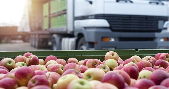 La commercialisation de pommes à l’export est rendue difficile en raison d’une précocité de la récolte dans d’autres pays européens comme l’Allemagne, selon le SSP. Photo : littlewolf1989/Fotolia
