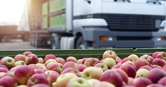 La commercialisation de pommes à l’export est rendue difficile en raison d’une précocité de la récolte dans d’autres pays européens comme l’Allemagne, selon le SSP. Photo : littlewolf1989/Fotolia