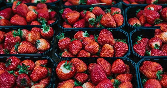 Le prix des fraises a chuté de moitié depuis le début du scandale. Photo : franz12/Fotolia