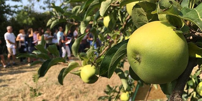 À l'occasion de la journée technique pomme chez Sud Expé, Matthieu Bouniol a insisté sur les mesures prophylactiques à mettre en place contre le feu bactérien. © A.Bressolier/Pixel Image