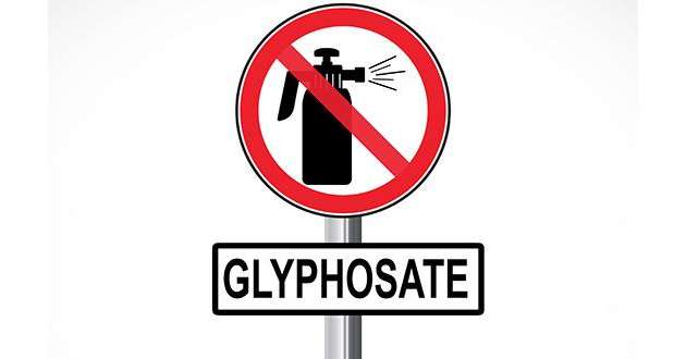 Pour Europe écologie les Verts, la justice doit agir vite pour interdire les produits à base de glyphosate. © Jérôme Rommé/Fotolia 