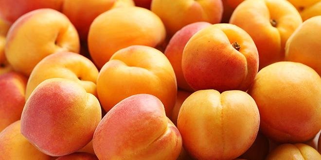 Lors des dégustations à l'aveugle menées par la CLCV, les personnes sondées ont préféré les abricots espagnols aux abricots français. © 5second/Fotolia 