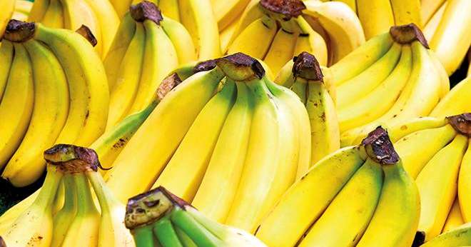 L’AIM souhaite voir la consommation française de banane atteindre au moins le niveau moyen annuel des Européens, soit 11,5 kg par personne. Photo : Fotolia