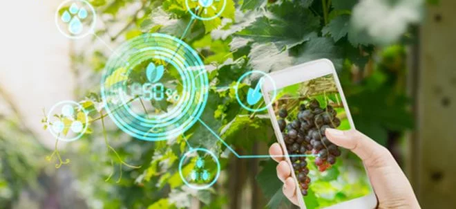 Smart Agri Food Innovation : ouverture des inscrip