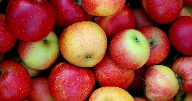 Sur les sept premiers mois de la campagne 2017-2018, les exportations de pommes françaises repartent à la hausse. Photo : Inna Paladii