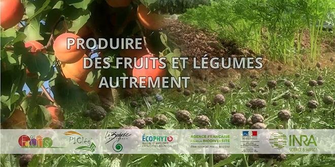 Le GIS Fruits vient de mettre en ligne sur son site le film « Produire des fruits et légumes autrement ». Photo : DR