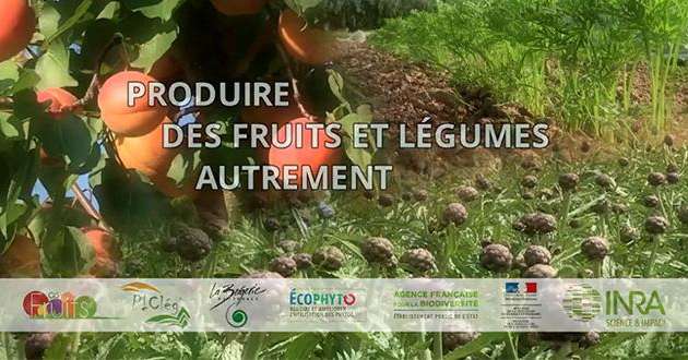 Le GIS Fruits vient de mettre en ligne sur son site le film « Produire des fruits et légumes autrement ». Photo : DR