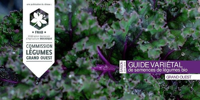 Le guide 2018 présente sur 96 pages une sélection variétale pour près de 60 légumes. Matthieu Chanel, Agrobio 35