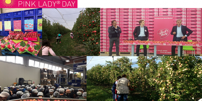 Lancement du Pink Lady Day, vendredi 20 octobre dernier. Un parcours pédagogique pour découvrir les acteurs de la filière. Photo : DR