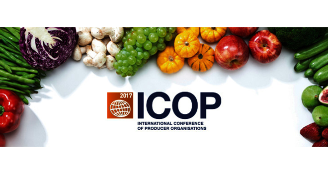 Le prochain Colloque international des organisations de de producteurs de fruits et légumes (Icop) aura lieu du 22 au 24 novembre 2017, à Nantes. Photo : DR