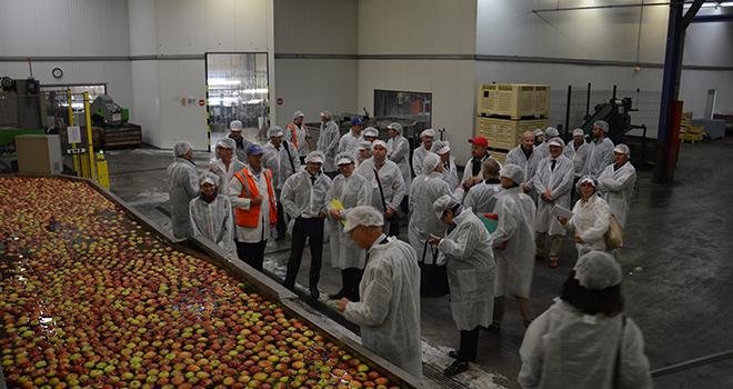 La station de conditionnement du domaine Saint-Georges voit passer 30 000 tonnes de pommes par an. Photo : C.Even/Pixel Image