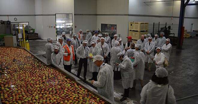 La station de conditionnement du domaine Saint-Georges voit passer 30 000 tonnes de pommes par an. Photo : C.Even/Pixel Image