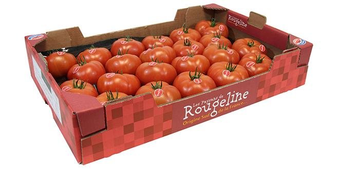 Ce contrat porte sur 200 tonnes de tomates charnues achetées à Rougeline, par an à prix fixe par Florette Food Service. Photo : Rougeline