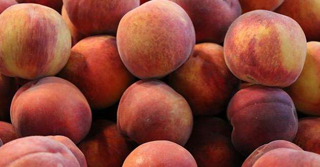 Le 24 août 2017, la Commission européenne a décidé de tripler ces volumes de retrait pour l’Espagne, la Grèce et l’Italie en pêches et nectarines. Photo : ClaraNila/Fotolia