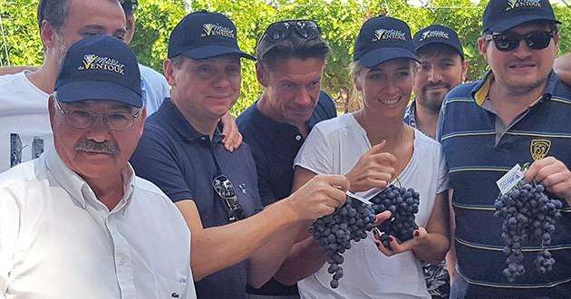 René Reynard, président de l’AOP muscat du Ventoux et de l’AOP nationale raisin de table, pose avec plusieurs chefs dont Éric Briffard, meilleur ouvrier de France, de l’école Le Cordon Bleu ; Alain Pegouret du restaurant Laurent, et Amandine Chaignot du Rosewood Londres. © AOP raisin de table