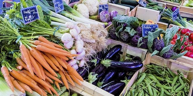 La mise en valeur et la vente des fruits et légumes font partie intégrante de la formation du CAP primeur. Photo : Fotolia/ Gina Sanders
