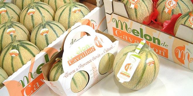 Le Melon de Cavaillon sera facilement repérable dans les étals. Photo : DR